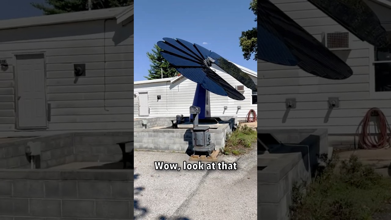 Found one in the wild!! #smartflower #solar #flower