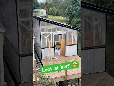 She be fully enclosed! #greenhouse #diy