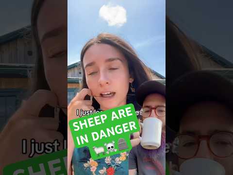 The dark underbelly of agrivoltaics!! #solar #alexfasulo #misinformation